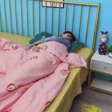 Electronic Mosquito Killer